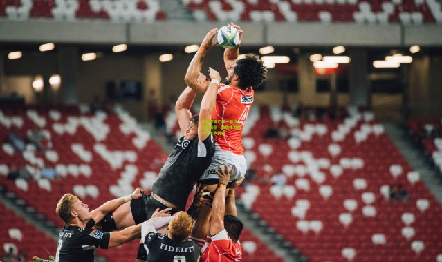 千言万语汇成一句话，感谢有你—致敬体育精神的无声英雄