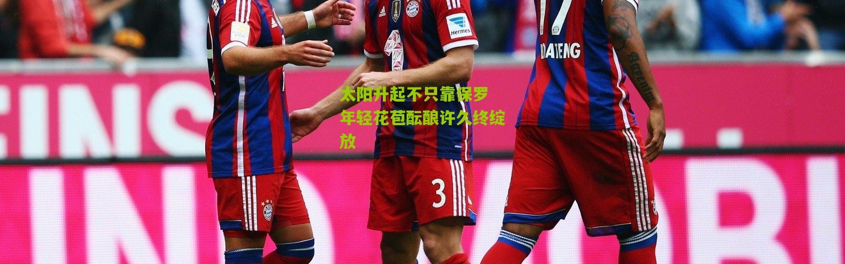 太阳升起不只靠保罗 年轻花苞酝酿许久终绽放