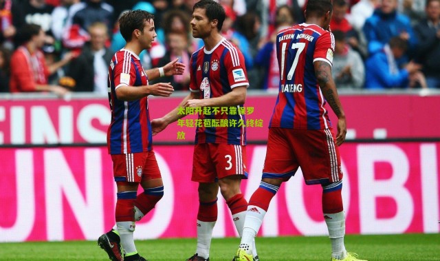 太阳升起不只靠保罗 年轻花苞酝酿许久终绽放