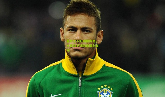 星月之下的绿茵传奇，土耳其足球的浪漫与复兴