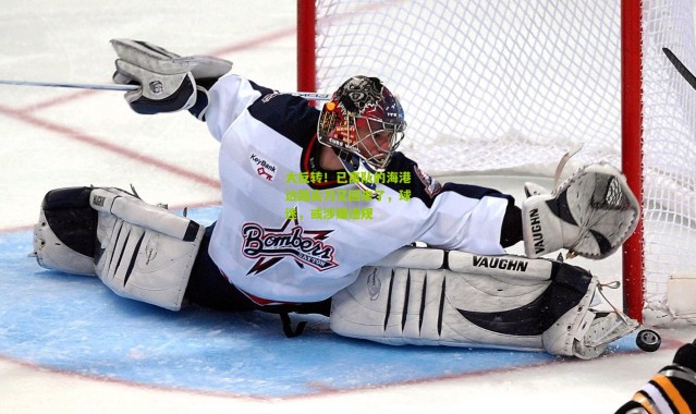 大反转！已离队的海港边路尖刀又回来了，球迷，或涉嫌违规