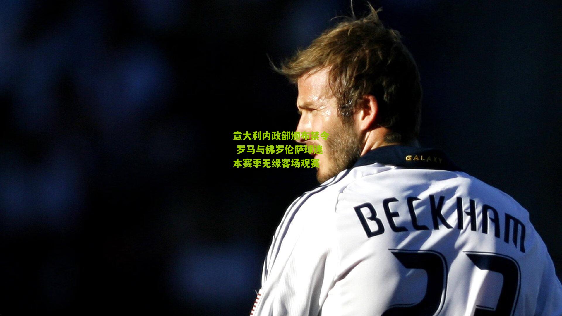 意大利内政部颁布禁令 罗马与佛罗伦萨球迷本赛季无缘客场观赛