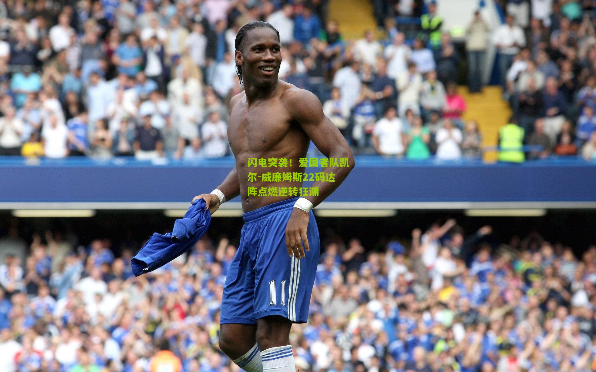 闪电突袭!爱国者队凯尔-威廉姆斯22码达阵点燃逆转狂潮